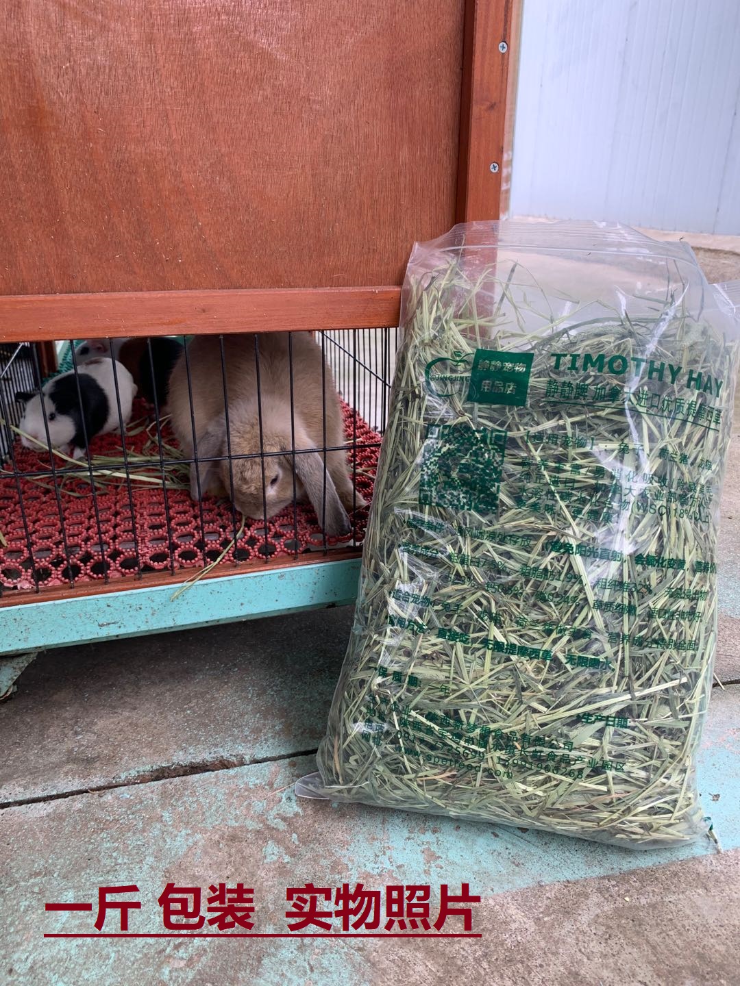 Premium Timothy Hay with happy rabbit and guinea pig
