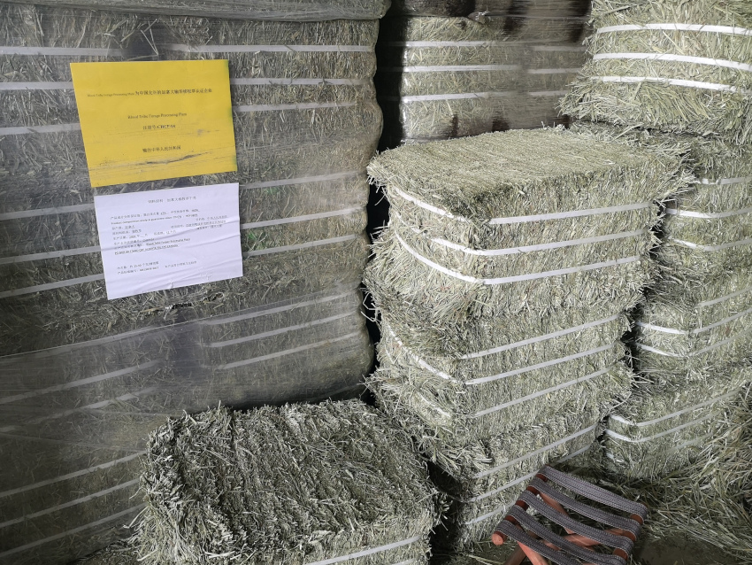 原装进口精选提摩西草捆5公斤装